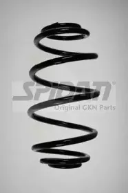 spidan-55984