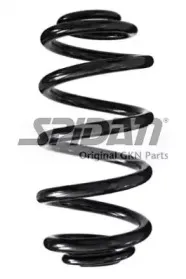 spidan-85987
