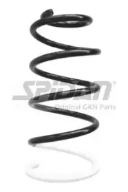 spidan-86713