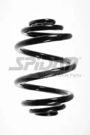 spidan-56159