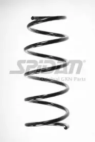 spidan-56169