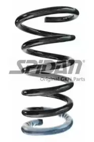 spidan-56572