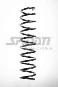 spidan-56575