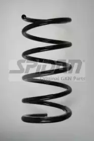 spidan-56584