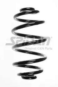 spidan-56594
