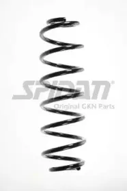 spidan-49495