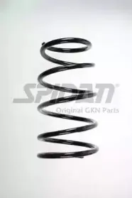 spidan-56693