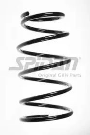 spidan-56694