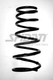spidan-56752