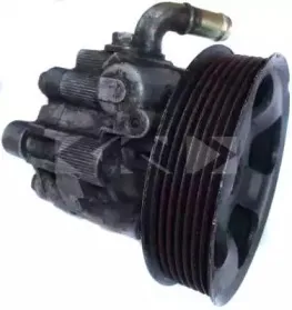 54166 SPIDAN Гидравлический насос, рулевое управление