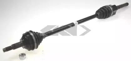 spidan-20145