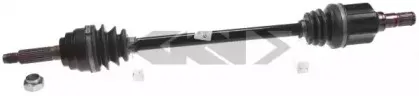 spidan-20159