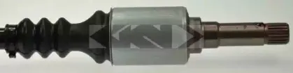 spidan-20650