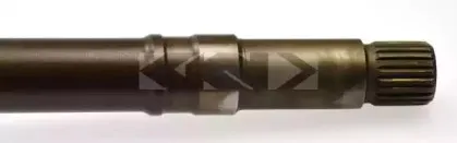 spidan-20654