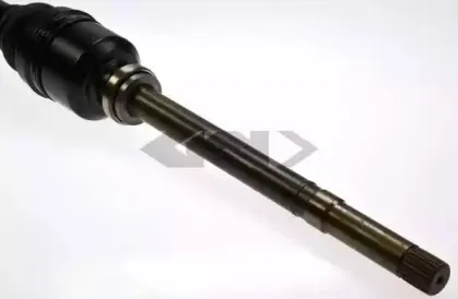 spidan-20672