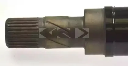 spidan-20934