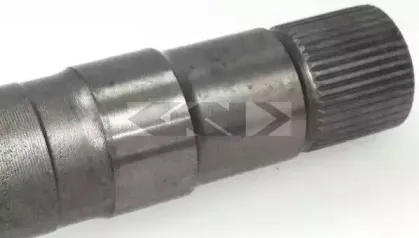 spidan-20945