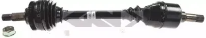 spidan-20958