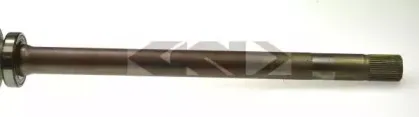 spidan-21054
