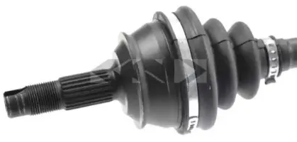 spidan-21244