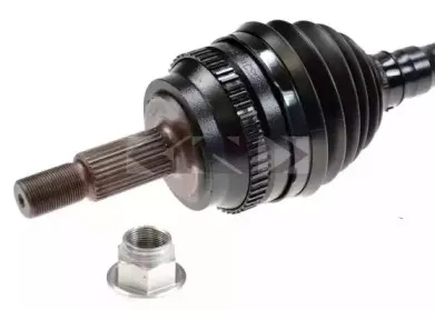 spidan-21551