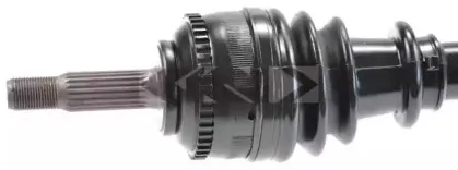 spidan-21564