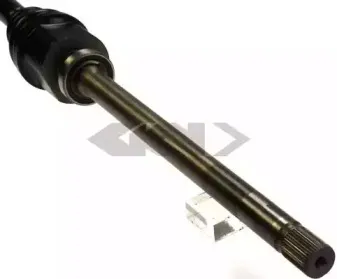 spidan-21570