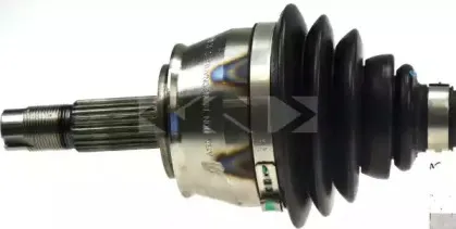 spidan-21579