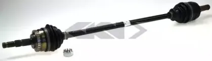 spidan-21584