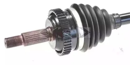 spidan-21603