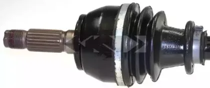 spidan-21611