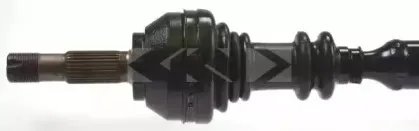 spidan-21644