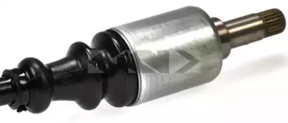 spidan-21659