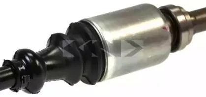 spidan-21664