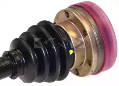 spidan-21708