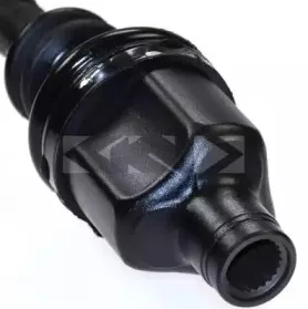 spidan-21721