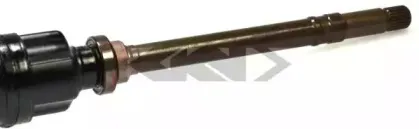 spidan-21734