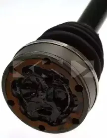 spidan-21830