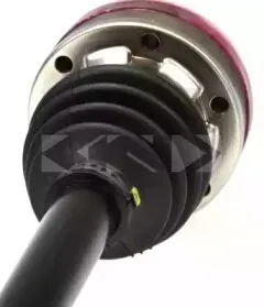 spidan-21830