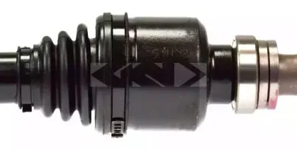 spidan-21959