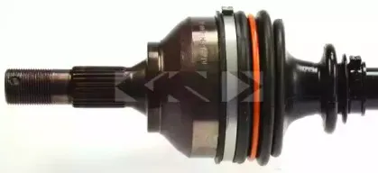spidan-21965