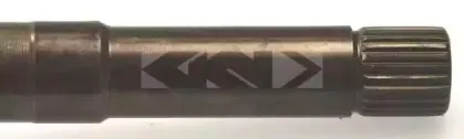 spidan-21965