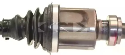 spidan-21972