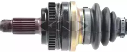 spidan-21998