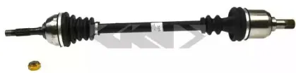 spidan-22006