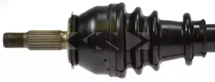 spidan-22056