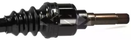 spidan-22116