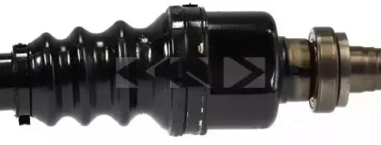 spidan-22118