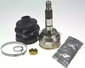 spidan-22184
