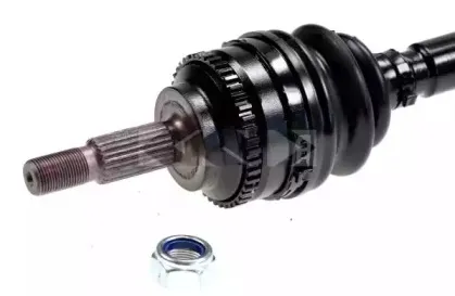 spidan-22325